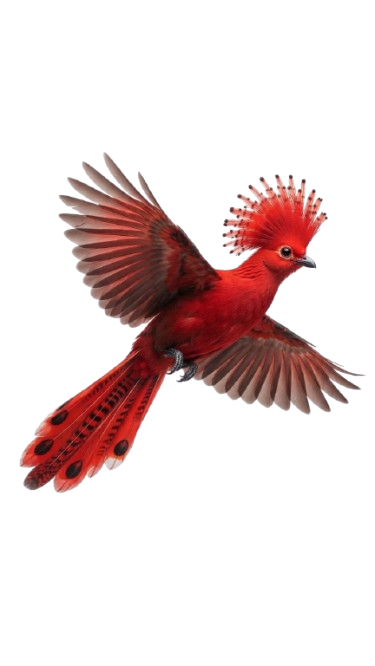 Flying Bird 2